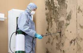 Best Crawl Space Mold Remediation  in Oconomowoc, WI